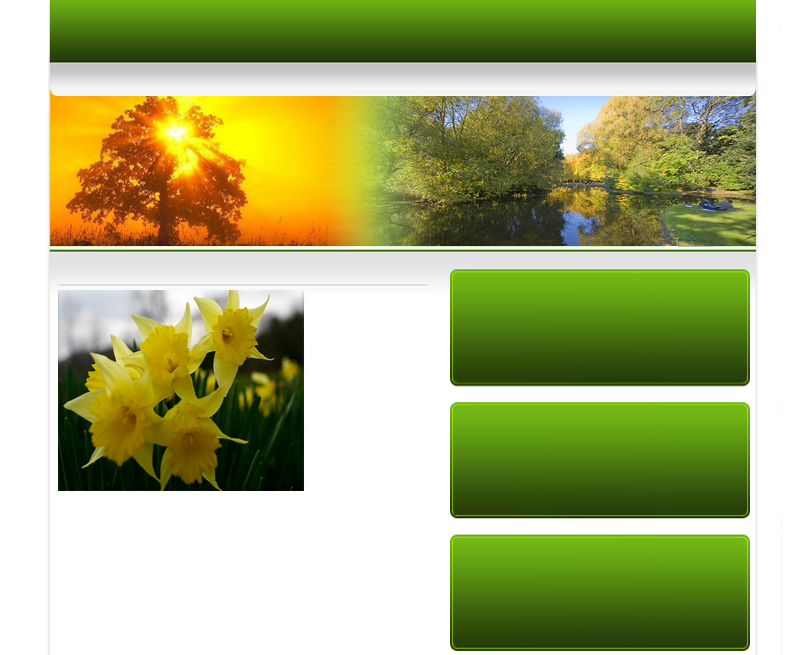 Oak Tree Garden Services